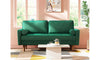 Vesgantti Two/Three Seater Sofa, Modern Velvet Loveseat Sofa, Modern Small Couch with 2 Pillows for Living Room, Comfy Sofa