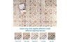 Lightweight Washable Oriental Area Rug for Living Room, Bedroom, Dining Room, Office