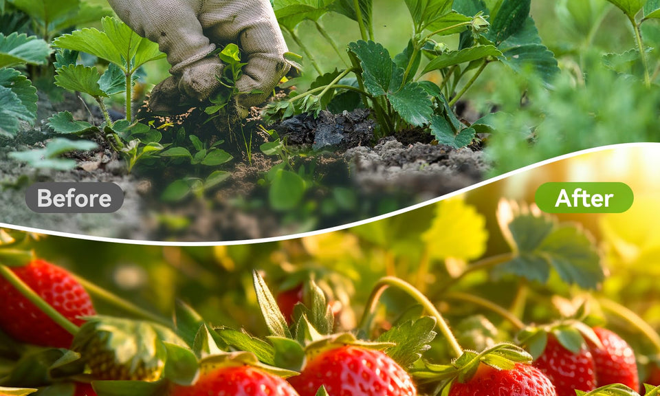 6ftx300ft Weed Barrier Landscape 3.2oz Fabric Heavy Duty, Woven Weed Control Cloth, Woven Geotextile Fabric for Underlayment, Gardening Ground, Commercial Driveway Weed Block Cover Mat