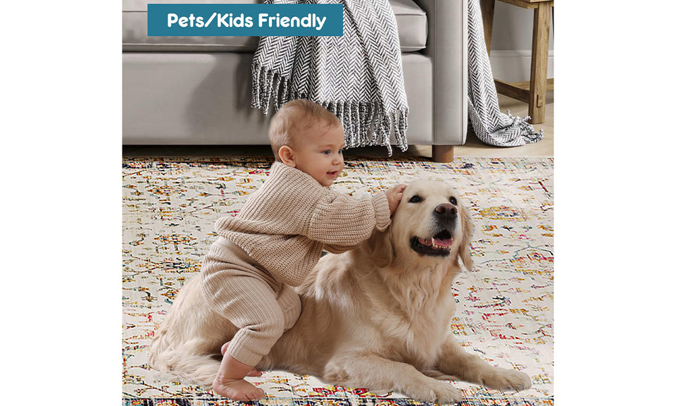 Lightweight Washable Oriental Area Rug for Living Room, Bedroom, Dining Room, Office